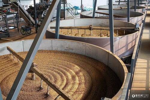 跑出加速度 德宏這家精品咖啡工廠從建設到投產(chǎn)僅用85天