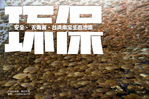 育苗池漆與養(yǎng)殖池漆在循環(huán)水工廠化水產(chǎn)養(yǎng)殖中的核心作用機理